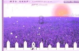 了解CE认证EMC指令和LVD指令包含哪些测试项目